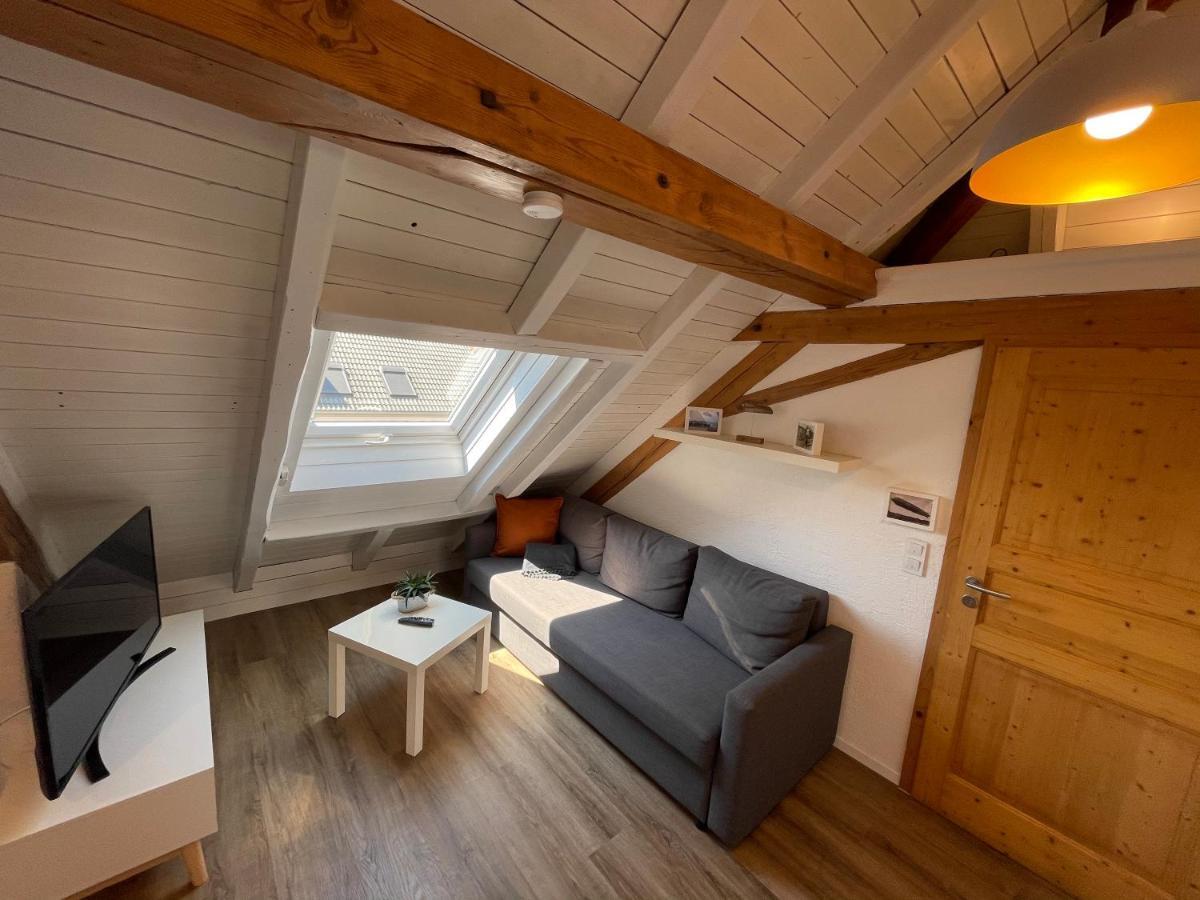 Ferienwohnung Schneider Фридрихсхафен Экстерьер фото